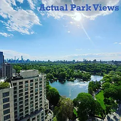 Rented by Area New York