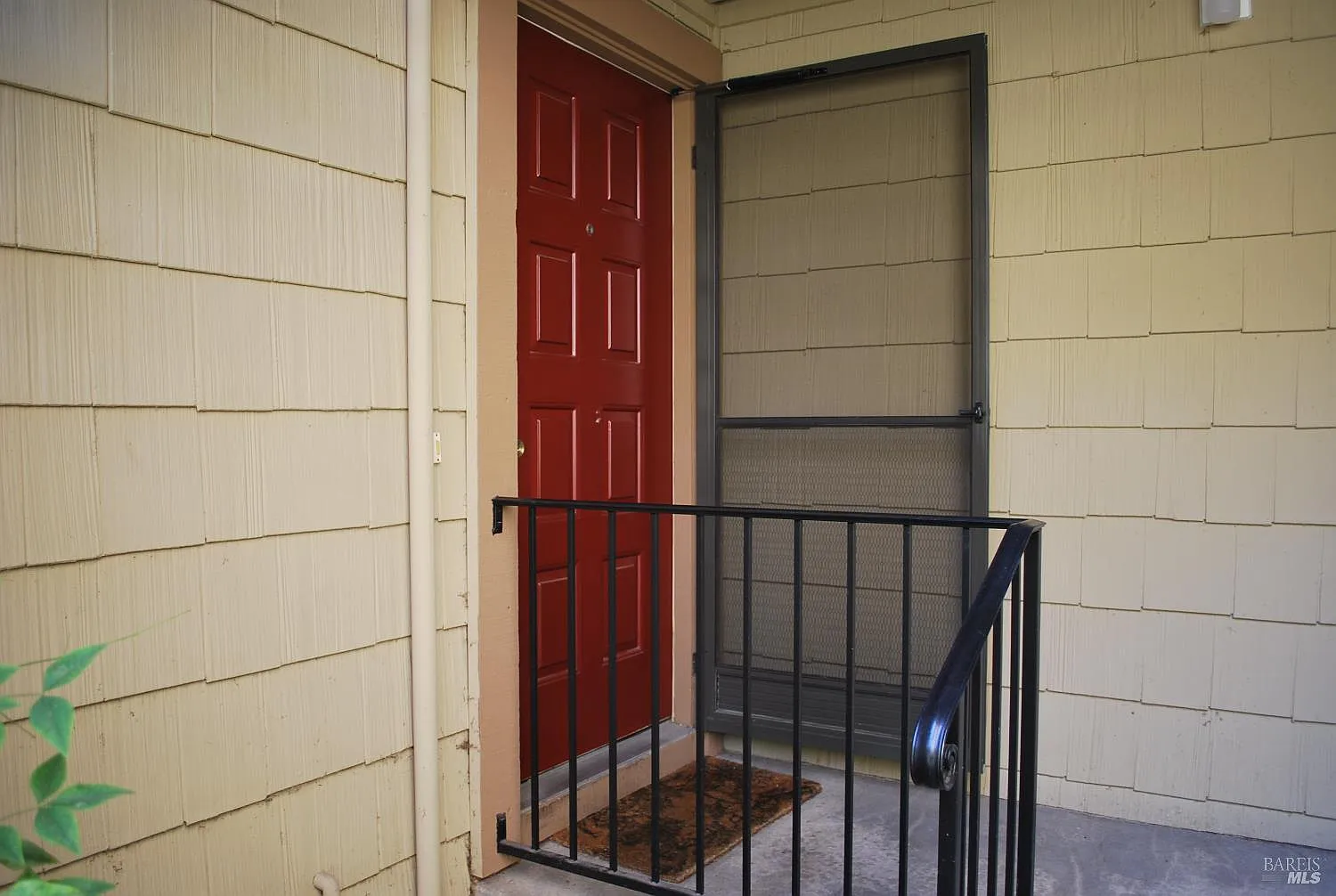 206 Park Place Drive photo 1
