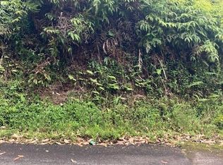 Road 1 LOT 19, Volcano, HI 96785
