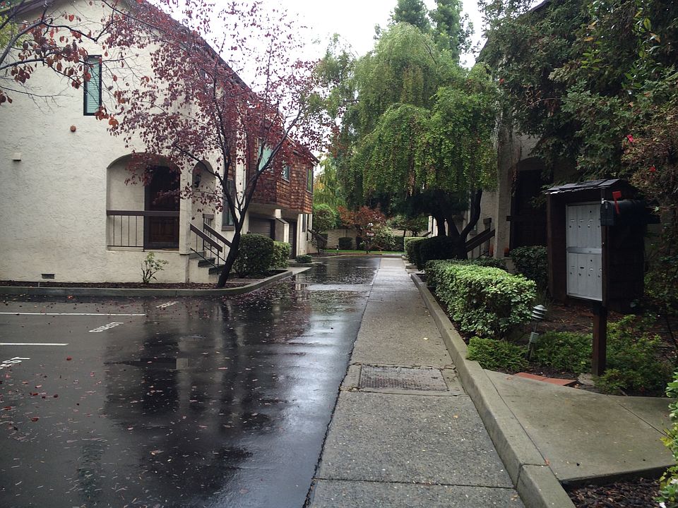 1st image of 480 N Winchester Blvd APT 2