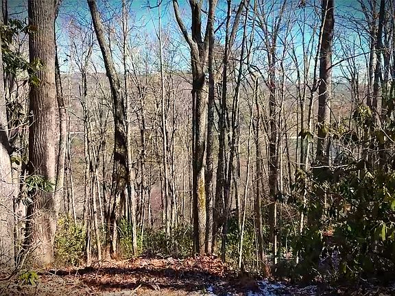 4th image of 20 Bright Mountain Road