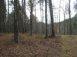 5 Old 15th Rd LOT 5, Del Rio, TN 37727