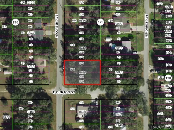 605 N Corbin Ave, Inverness, FL 34453