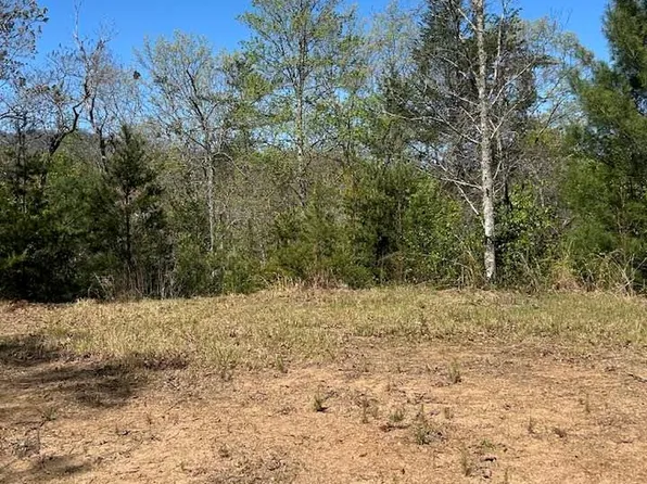 13 Oak View Rd, Whittier, NC 28789