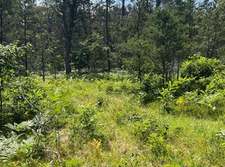 Sandy Trl, Grayling, MI 49738