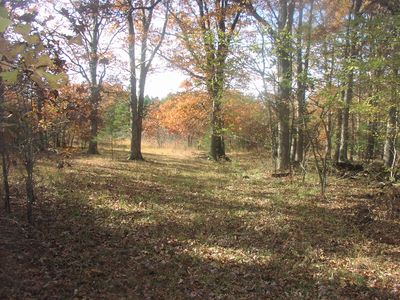 N/a Off Nc #6077, Jasper, AR, 72641