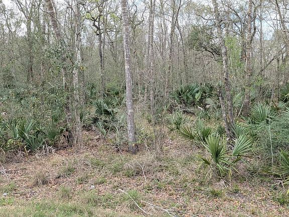 3rd image of 19910 County Road 684a