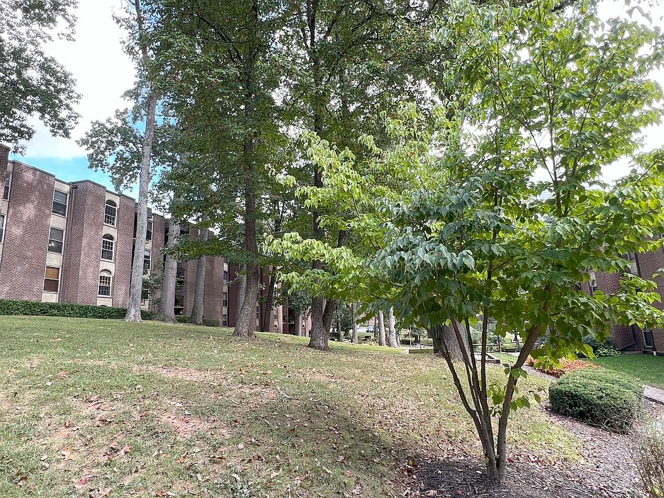 Green space outside of condo