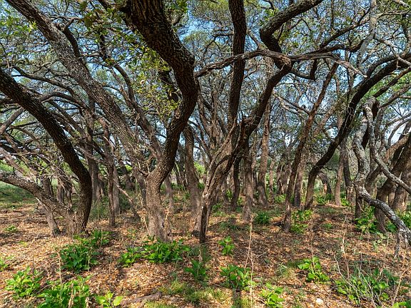 Land with a Water Well for Sale near Mullin, TX with Owner Financing | Creekside Rural Investments, Inc.