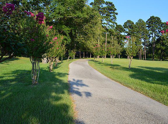 3rd image of 303 Ponderosa Dr