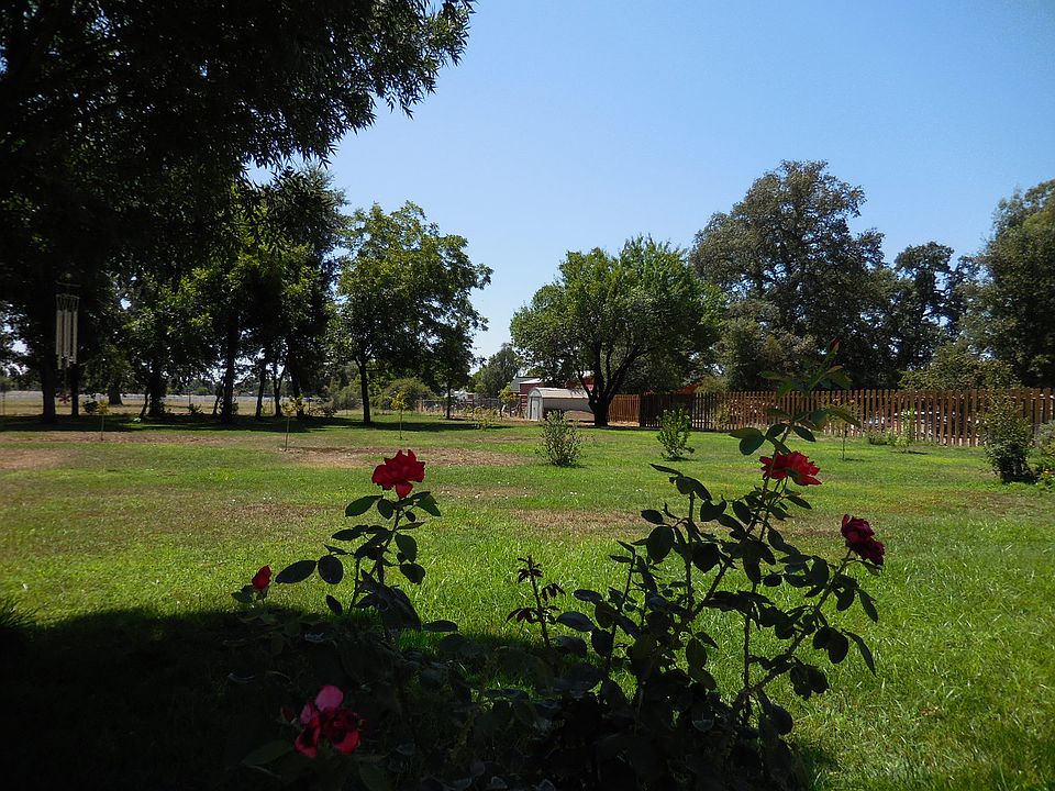 Back Yard with sprinklers