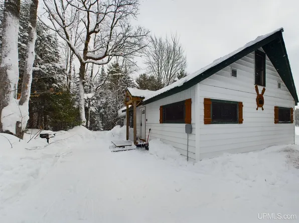 9798 Ross Lake Rd, Shingleton, MI 49884