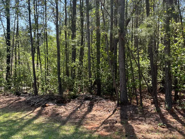 L14 B39 Antioch Drive, McCormick, SC 29835