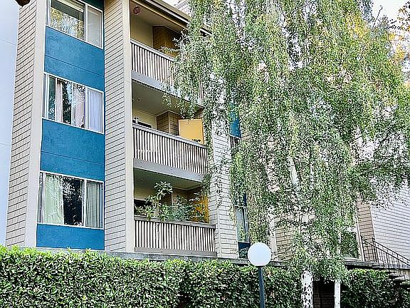 3rd image of 49 Showers Dr #303W