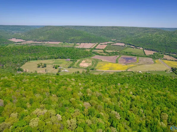 4400 County Road 39, Fackler, AL 35746