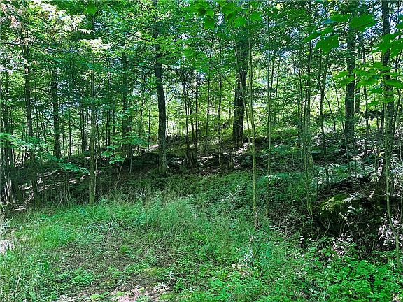 2nd image of 287 Dirt Rd Lot 31