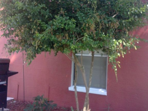3rd image of 18614 White Pine Cir