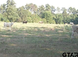 Tbd Flamingo, Gilmer, TX 75645