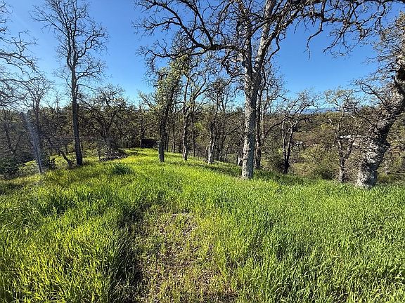 2nd image of 7131 Coyote Point