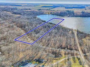 6551 Nye Rd, Hudson, MI 49247