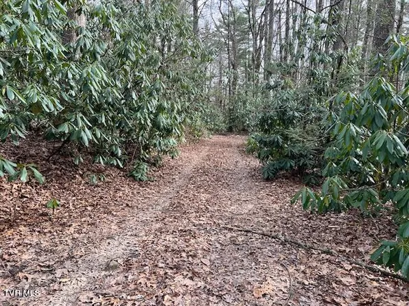 Slabtown Rd, Mountain City, TN 37683