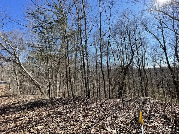0 Highway 100 Lot 2, Centerville, TN 37033