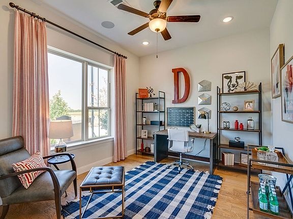 The Bluebonnet - Study