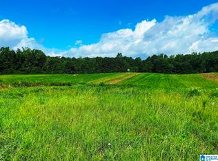 State Lake Rd, Delta, AL 36258