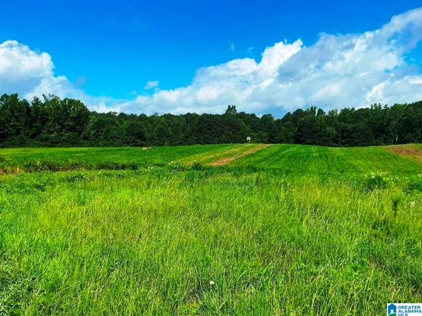 State Lake Rd, Delta, AL 36258