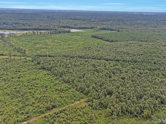 5th image of 0 David Raines Rd