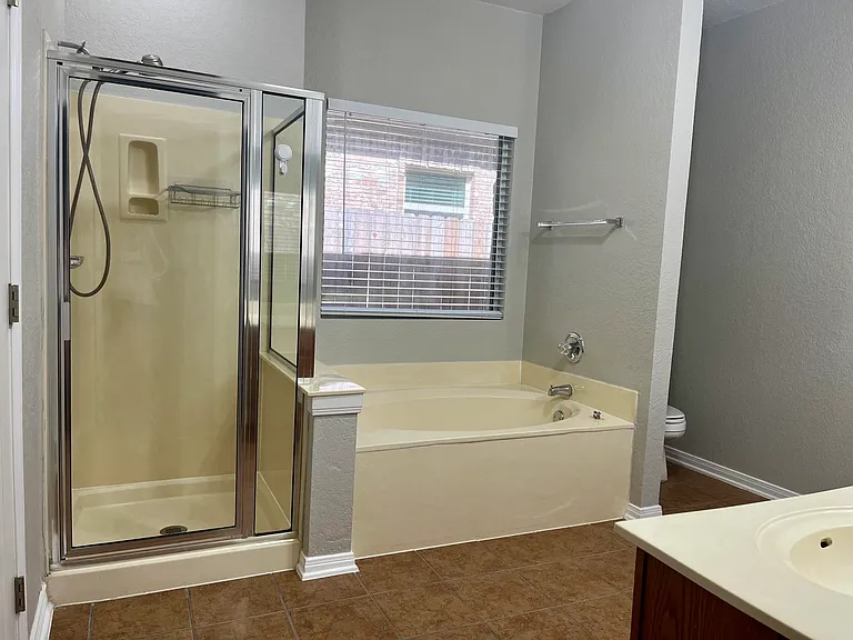 Master bathroom