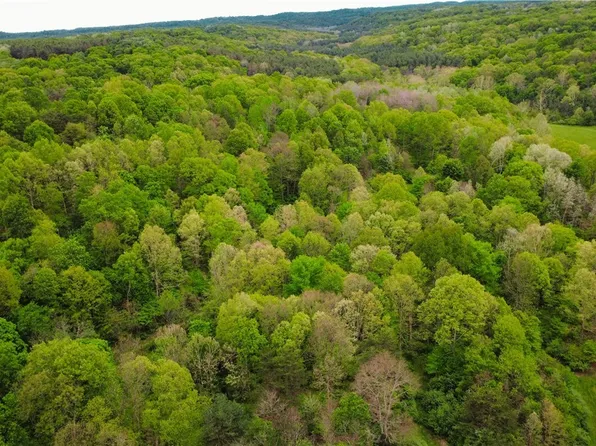 Morganville Rd, Corning, OH 43730