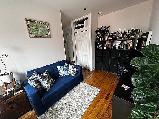 3rd image of 436 Broadway #10R