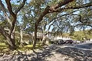 5332 Balcones Dr #D — Photo 13