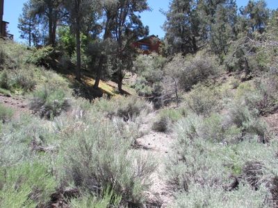 2505 Cedarwood Dr, Pine Mountain Club, CA, 93222