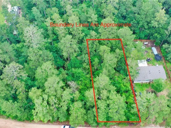 Tbd Redbud Ln, Plantersville, TX 77363