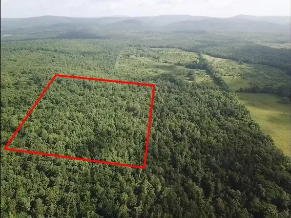 (undisclosed Address), Mena, AR 71953