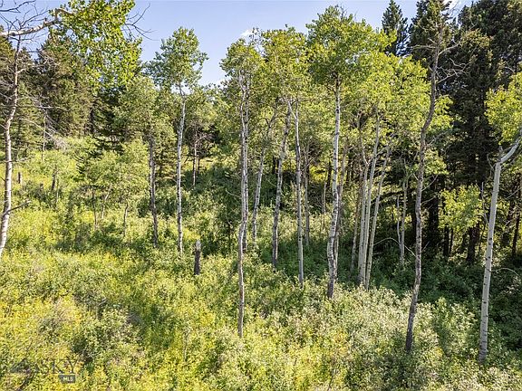 5th image of Tbd Livingston Peak Rd