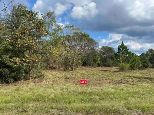 2 County Road 2204d & Dm #1797, Tatum, TX 75691