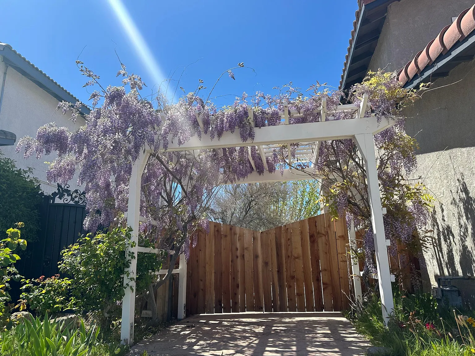 643 Regency Ct — Photo 4