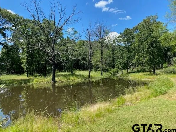 610 Old Tyler Hwy, Athens, TX 75751