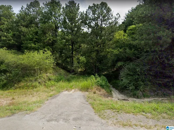 0 Highway 78 #0, Dora, AL 35062