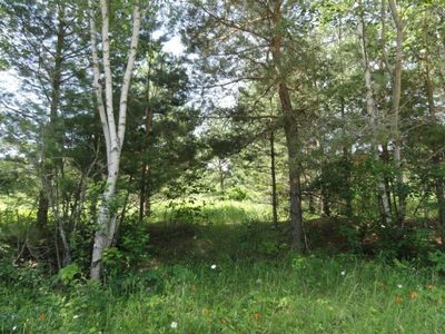 TBD HWY 63 Highway, Cumberland, WI, 54829