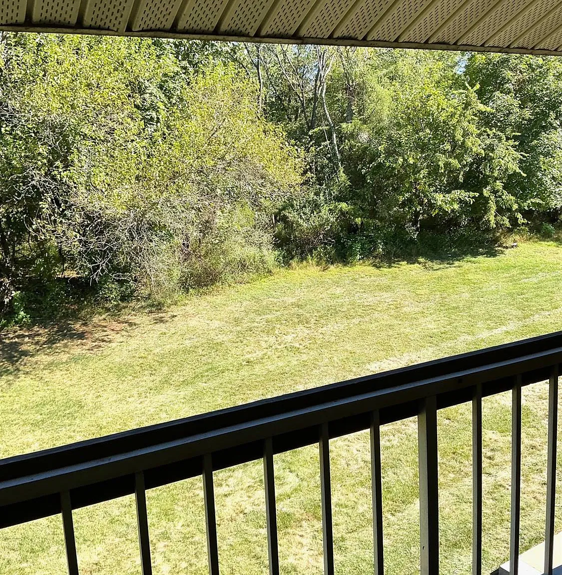 1 bed, 1.0 bath, $1,800 — Photo 4