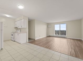 234 Erie St S #821571, Leamington, ON