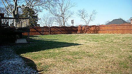Privacy Fenced Yard