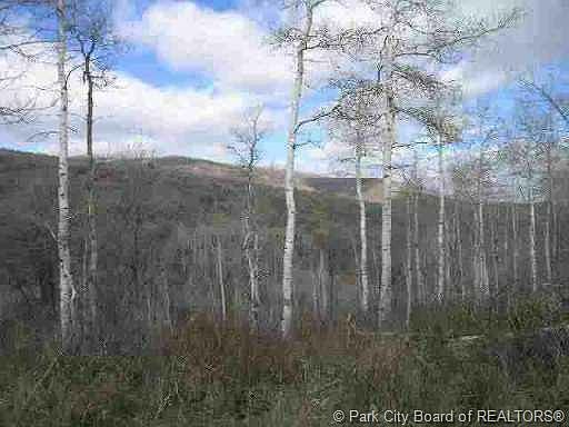 4th image of 382 Porcupine Loop #Ss-144