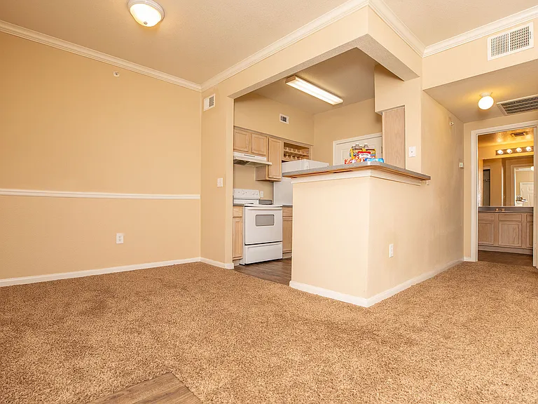 8100 Huebner Rd — Photo 19