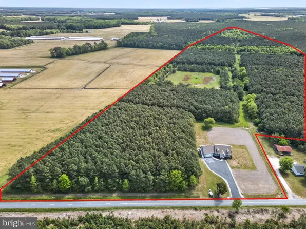 2435 Payne Rd, Pocomoke City, MD 21851
