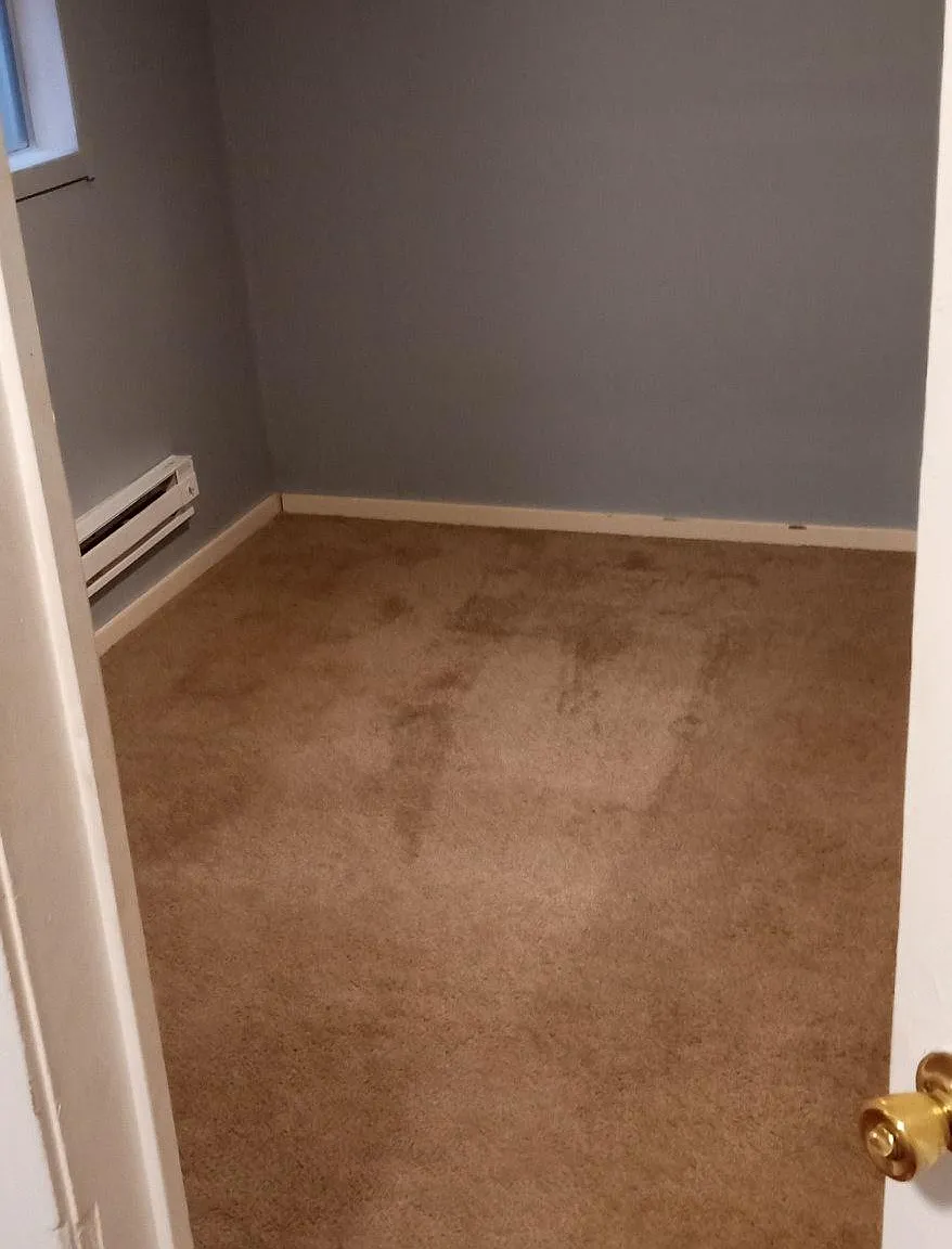 1 bed, 600 sqft, $790 — Photo 3